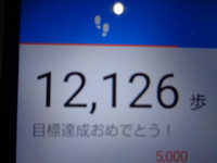 12000歩