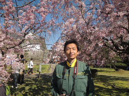 枝垂れ桜と社長