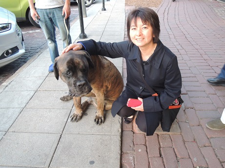 犬と私