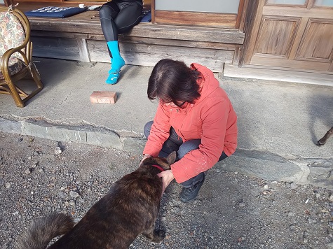 縁側と猟犬と私