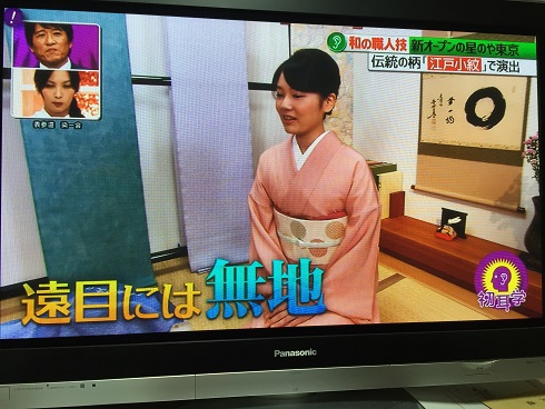 遠目には無地