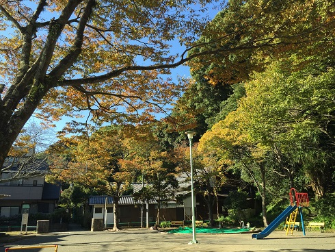 黄葉の八幡山公園