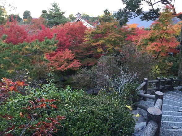 天龍寺の小高い所から観た紅葉