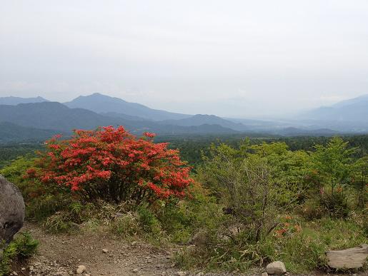 展望台からの景色