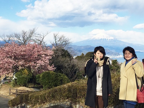 桜と富士山と美女2人