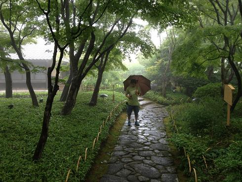 ＭＯＡ美術館　雨の庭と社長