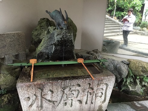 兎の手水舎
