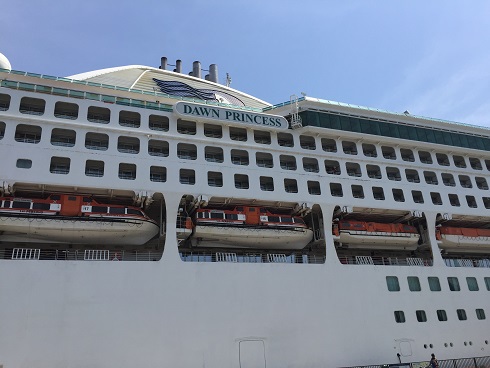 ﾄﾞｰﾝﾌﾟﾘﾝｾｽ看板