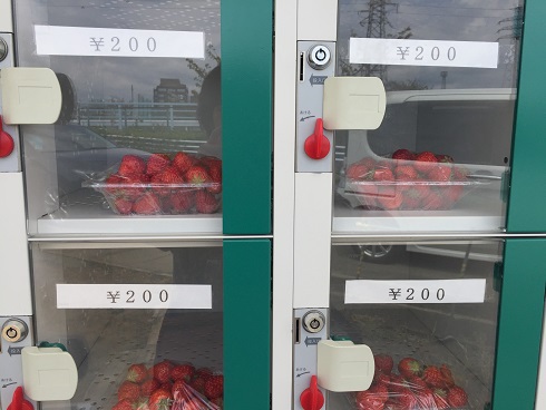 無人販売の苺