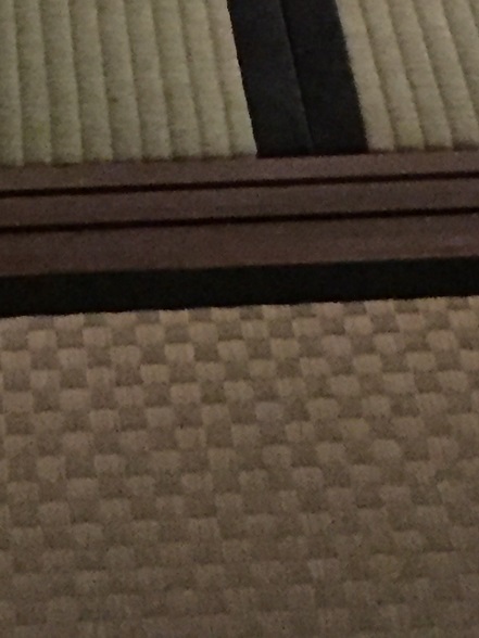 相伴畳アップ