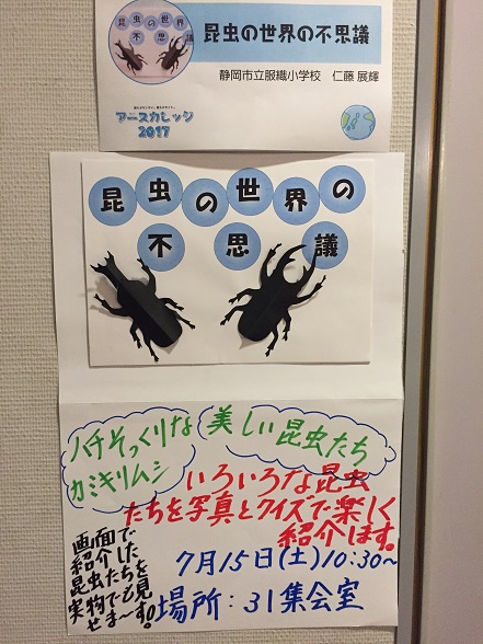 昆虫の世界の不思議
