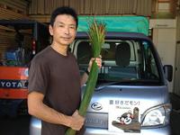 個店塾のお知らせとイ草の収穫