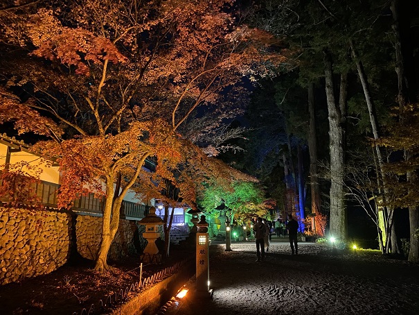 法多山のｶﾗﾌﾙなﾗｲﾄ