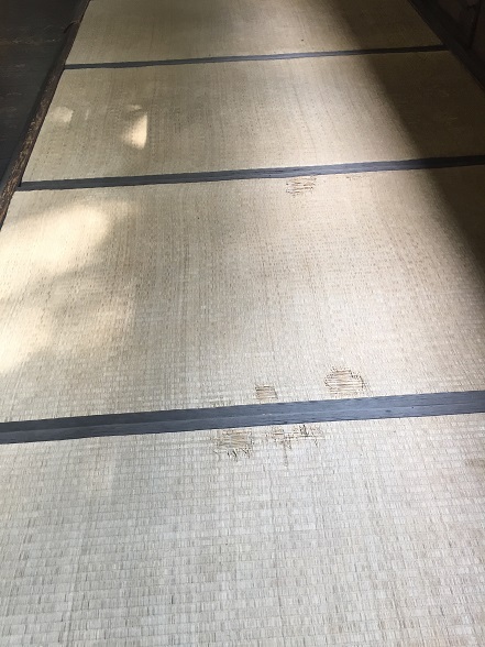 傷んだ剣道場の畳
