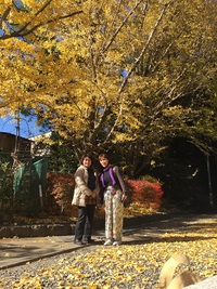特別公開は12/17まで！浅間神社の「かえるまた」