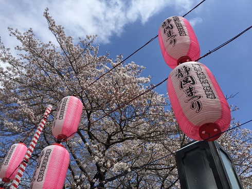 静岡まつりの提灯と桜