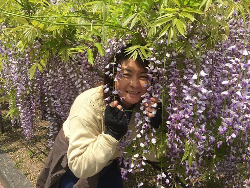 藤に隠れる私