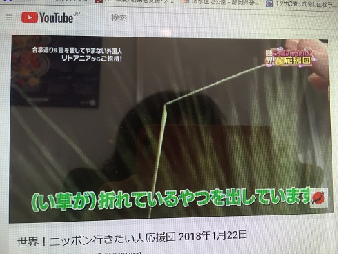 折れたイ草を排除