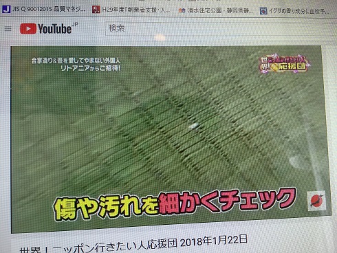 蜘蛛の巣をみつけた