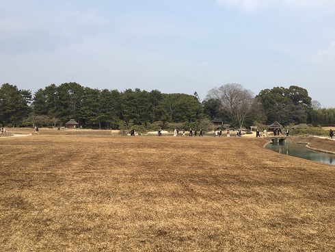 広い園内