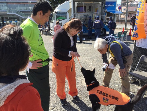 災害救助犬
