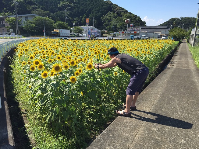 ひまわりの写真を撮るのぶちゃん