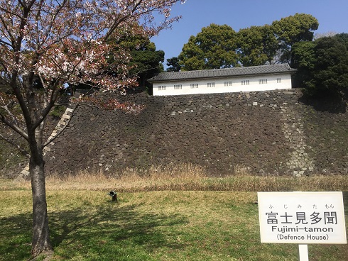 富士見多聞