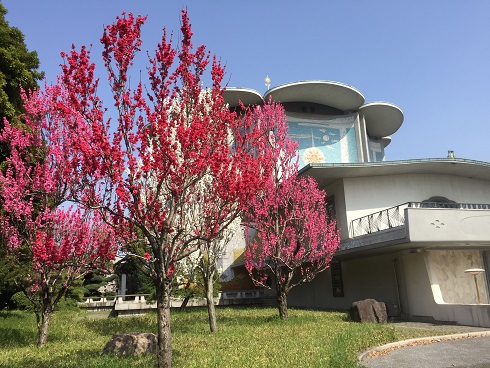 桃華学堂