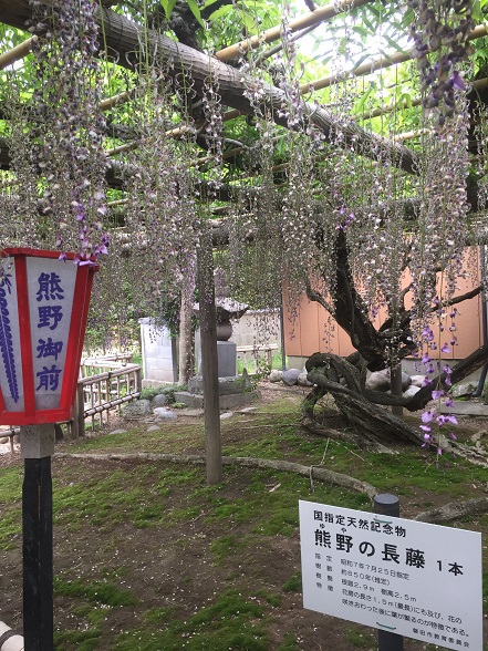 国の天然記念物