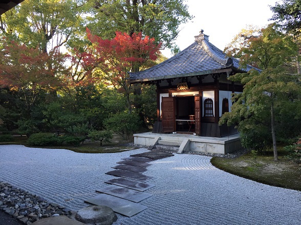 飛び石と紅葉