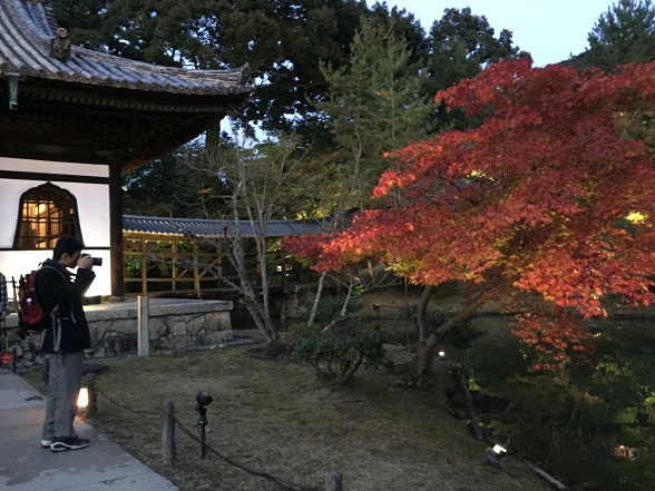 紅葉を撮影する社長