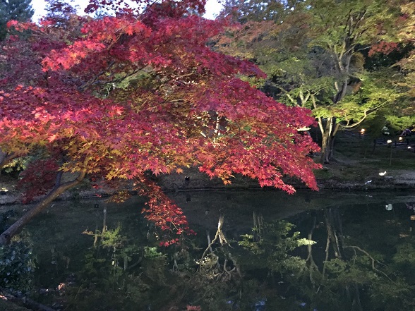 水面と紅葉