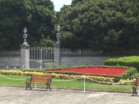 裏庭の花壇
