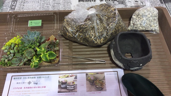 寄せ植え材料