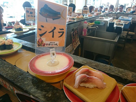 シイラのお寿司