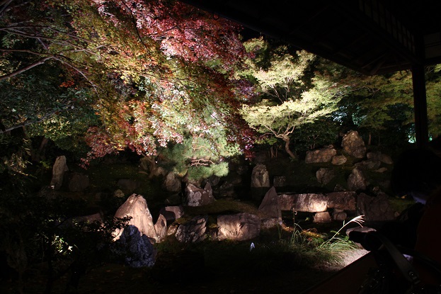 圓徳院の夜の庭