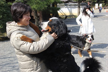 犬と戯れる私