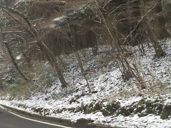 路肩に積もった雪