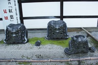 初めての弘源寺とピーピング・トム