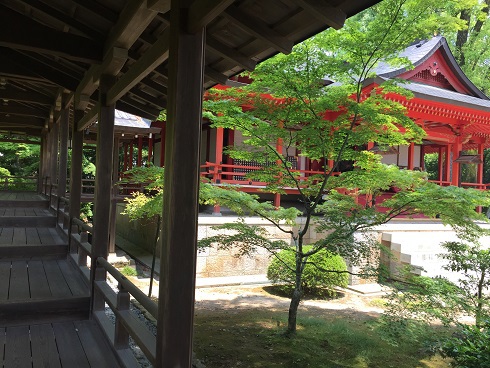 新緑と赤い建物