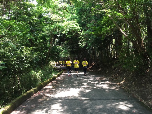 山の中のコース