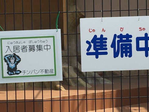 チンパン不動産