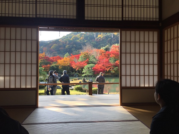 畳越しに庭