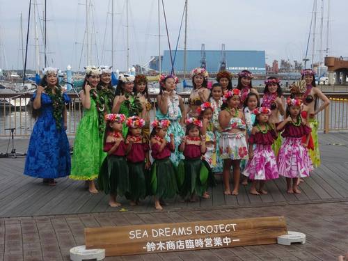 Sea Dreams Project 2014