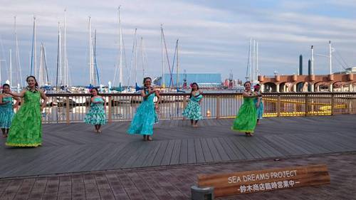 SEA DREAMS PROJECT