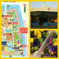 あしたと明後日は…
