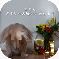 明けましておめでとうございます