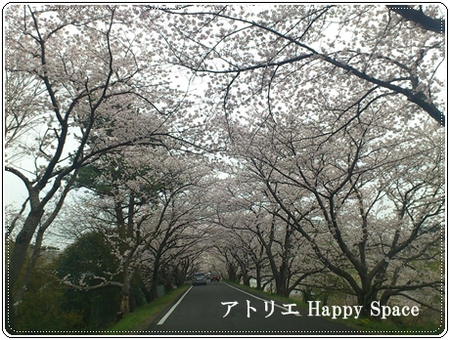 お花見♪