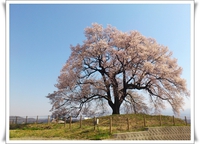 山梨へ。。。