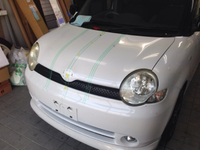 シエンタストライプ
